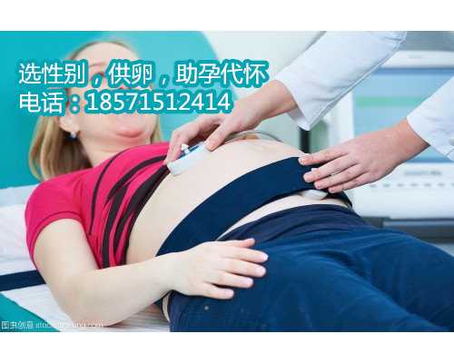 濮阳市试管婴儿费用查询：正规医院价格是多少？