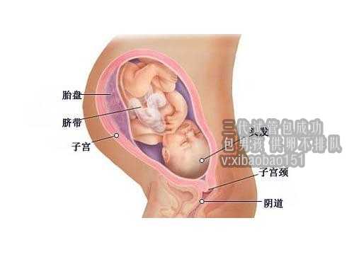 重庆试管代孕成功,南京哪家做试管婴儿比较好
